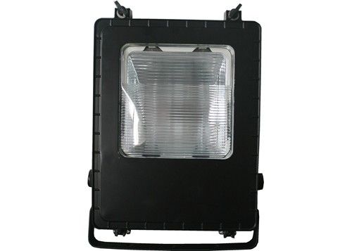 100w IP65 स्टेडियम ग्रो लाइट्स बिलबोर्ड मेटल हैलाइड विज्ञापन