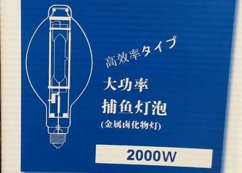 BT220 2000w MH बल्ब फिश लैंप HID मेटल हैलाइड स्क्वीड फिशिंग लैंप