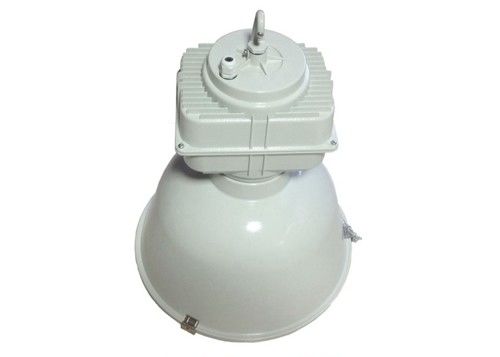 80lm / W HPS इंडस्ट्रियल लेड ग्रो लाइट्स, 250W क्सीनन लैंप डाई कास्टिंग एल्युमिनियम