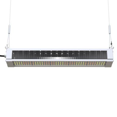 RikoLite 240W फुल स्पेक्ट्रम एलईडी ग्रो लाइट स्लिम बार, AL1100 हॉर्टिकल्चर एलईडी ग्रो लाइट्स