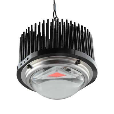 50W DOB होममेड एलईडी ग्रो लाइट्स, Cob 1M2 फुल स्पेक्ट्रम ग्रो लाइट किट