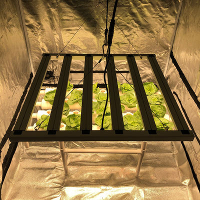 35 सेंटीग्रेड हॉर्टिकल्चर लेड ग्रो लाइट्स 480W 6 पिलर 2.6μMol/J लाइट्स बार