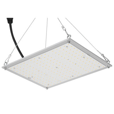 RikoLite 100W 277vac हाइड्रोपोनिक्स एलईडी ग्रो लाइट्स क्वांटम बोर्ड 167.3umol/S