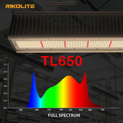 TL650 PAR 1755umol / S ग्रीनहाउस एलईडी ग्रो लाइट्स 630W शाकाहारी / फूल के लिए