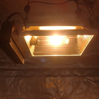 2X2 ग्रो टेंट के लिए एयर PAR प्लस CMH 150W हॉरिजॉन्टल ग्रो लाइट फिक्स्चर