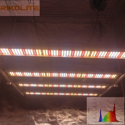 गैलेक्सी 2835SMD LED 240W 4 बार्स फोल्डेबल प्लांट ग्रो लाइट्स 0 - 10V Dimmable
