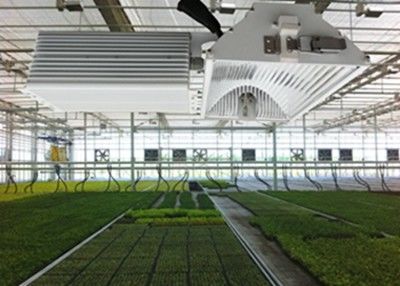 1050μMol / S HID LED ग्रो लाइट्स, 630W क्रॉप्स सिरेमिक मेटल हैलाइड ग्रो लाइट