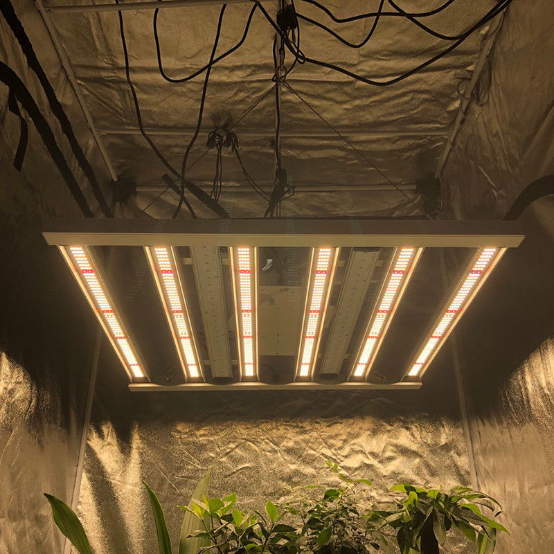 35 सेंटीग्रेड हॉर्टिकल्चर लेड ग्रो लाइट्स 480W 6 पिलर 2.6μMol/J लाइट्स बार